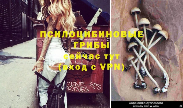 прущая мука Волоколамск