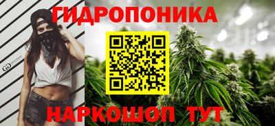 кокс Ставрополь