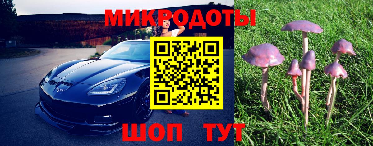 Мончегорск  Галлюциногенные грибы Psilocybe  Вход с VPN 